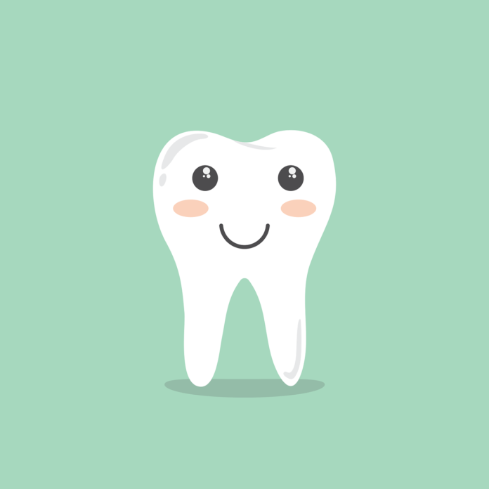 teeth-1670434_1280 (1)